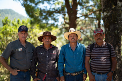 エルサルバドル, ファミリア・ディアス - BE A GOOD NEIGHBOR COFFEE KIOSK